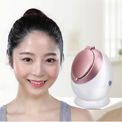 Nano-Ionic Facial Steamer | Professional Home Spa