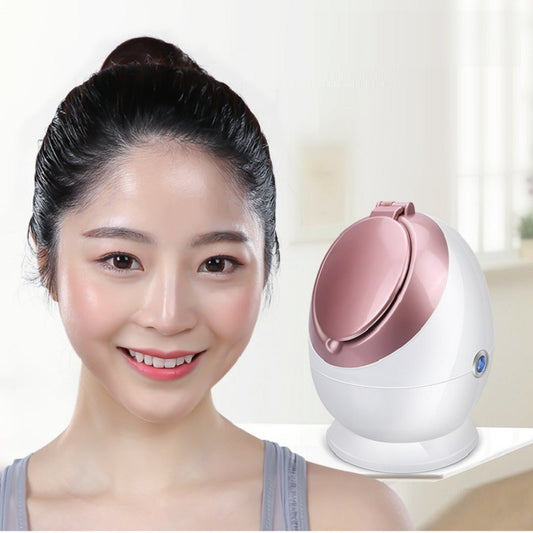 Nano-Ionic Facial Steamer | Professional Home Spa