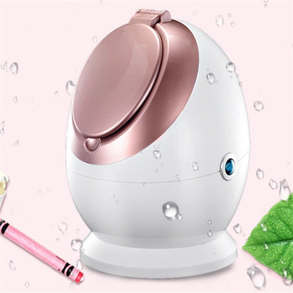 Nano-Ionic Facial Steamer | Professional Home Spa